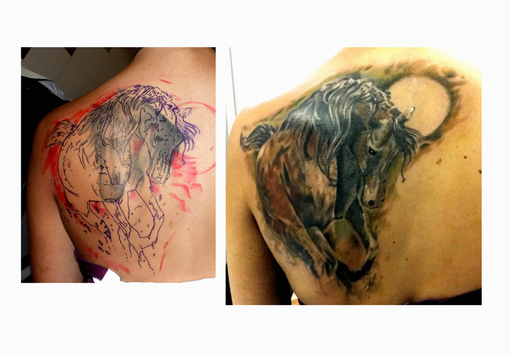 tattoos huesca, tatuajes huesca, tattoo caballo