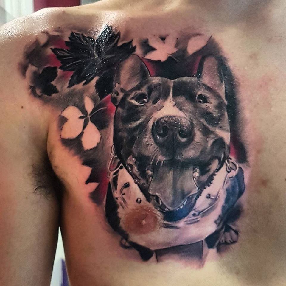 retrato perro tatuaje tattoo pecho cover hojas negro gris black grey realismo realista mascota 13depicas jaca