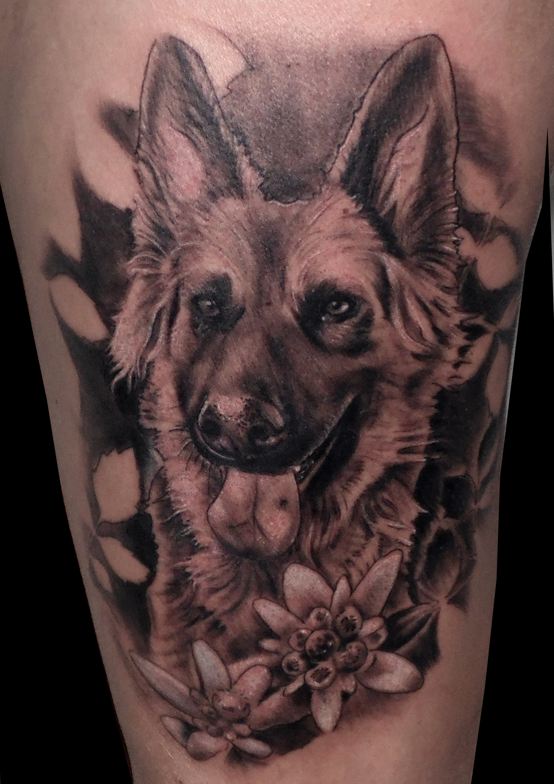 tatuaje tattoo retrato perro realista blanco negro pierna muslo 13depicas Jaca Huesca