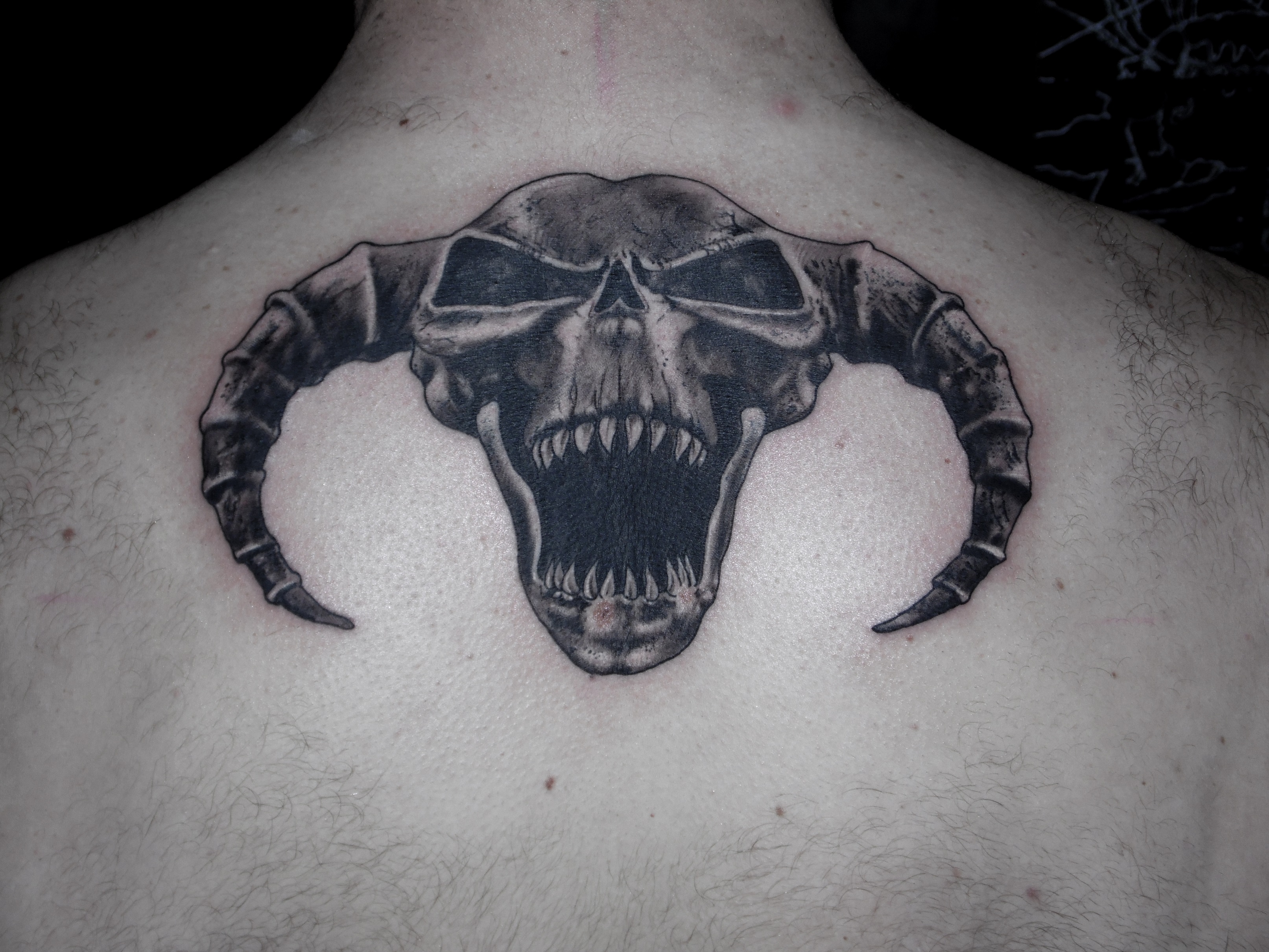 hardcore tattoo skull 13depicas madein13 calavera cuernos espalda realismo