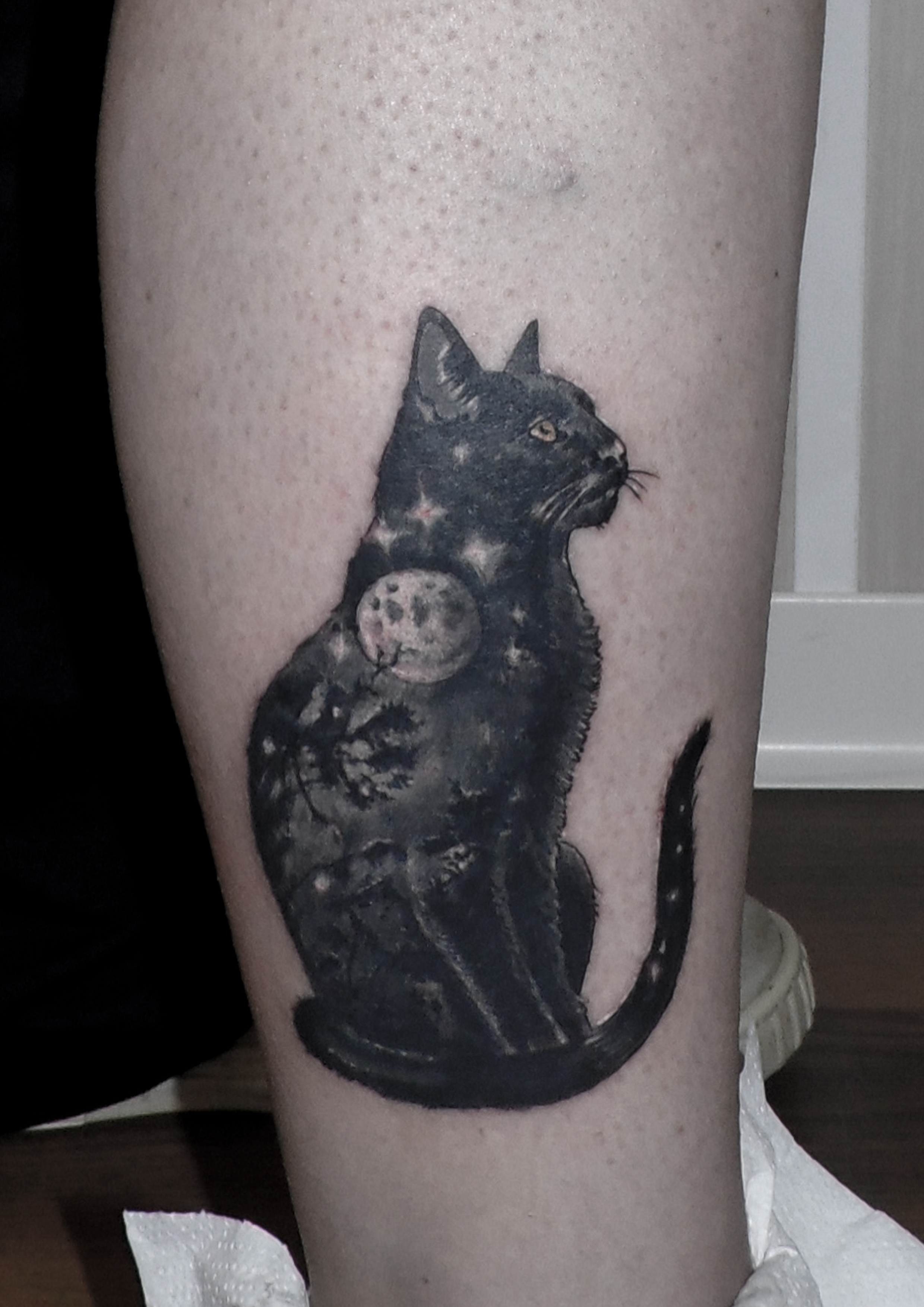gato luna bosque tattoo jaca huesca cat 13depicas pierna