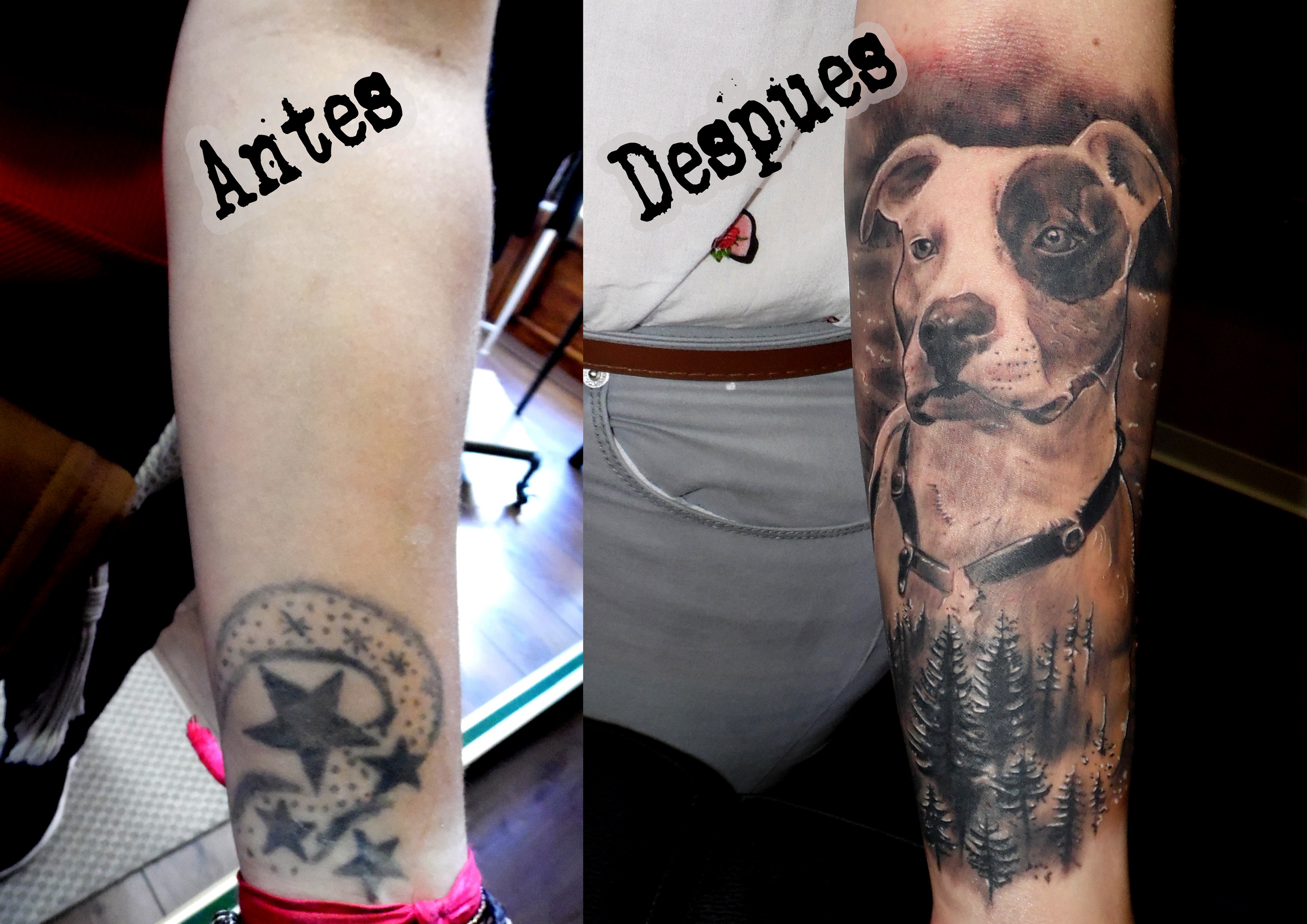 cover up tattoo tatuaje tapado retrato perro realista antebrazo 13depicas jaca huesca