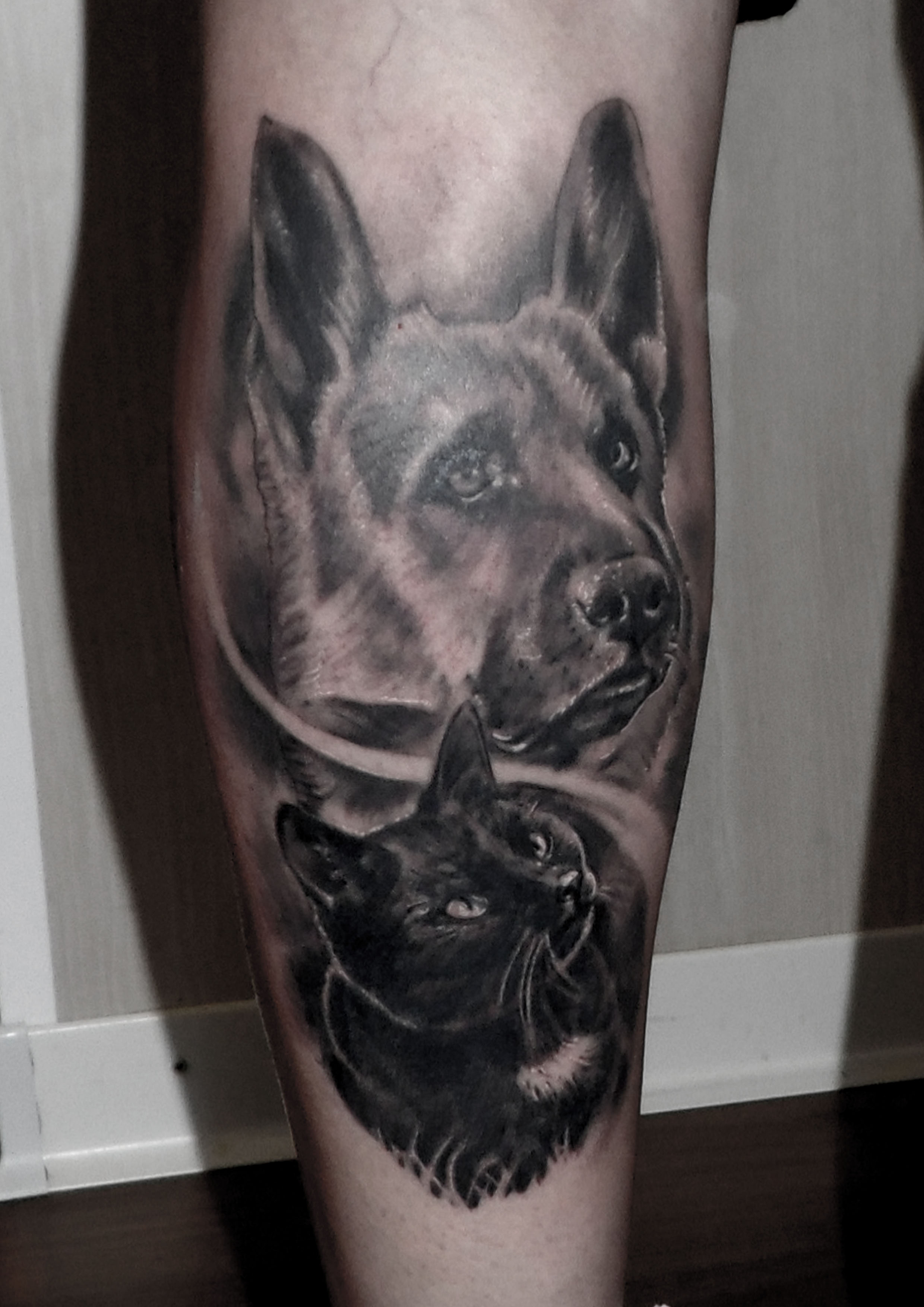 tatuaje tattoo mascota pastor aleman perro gato retrato realismo black grey 13 de picas Jaca Huesca