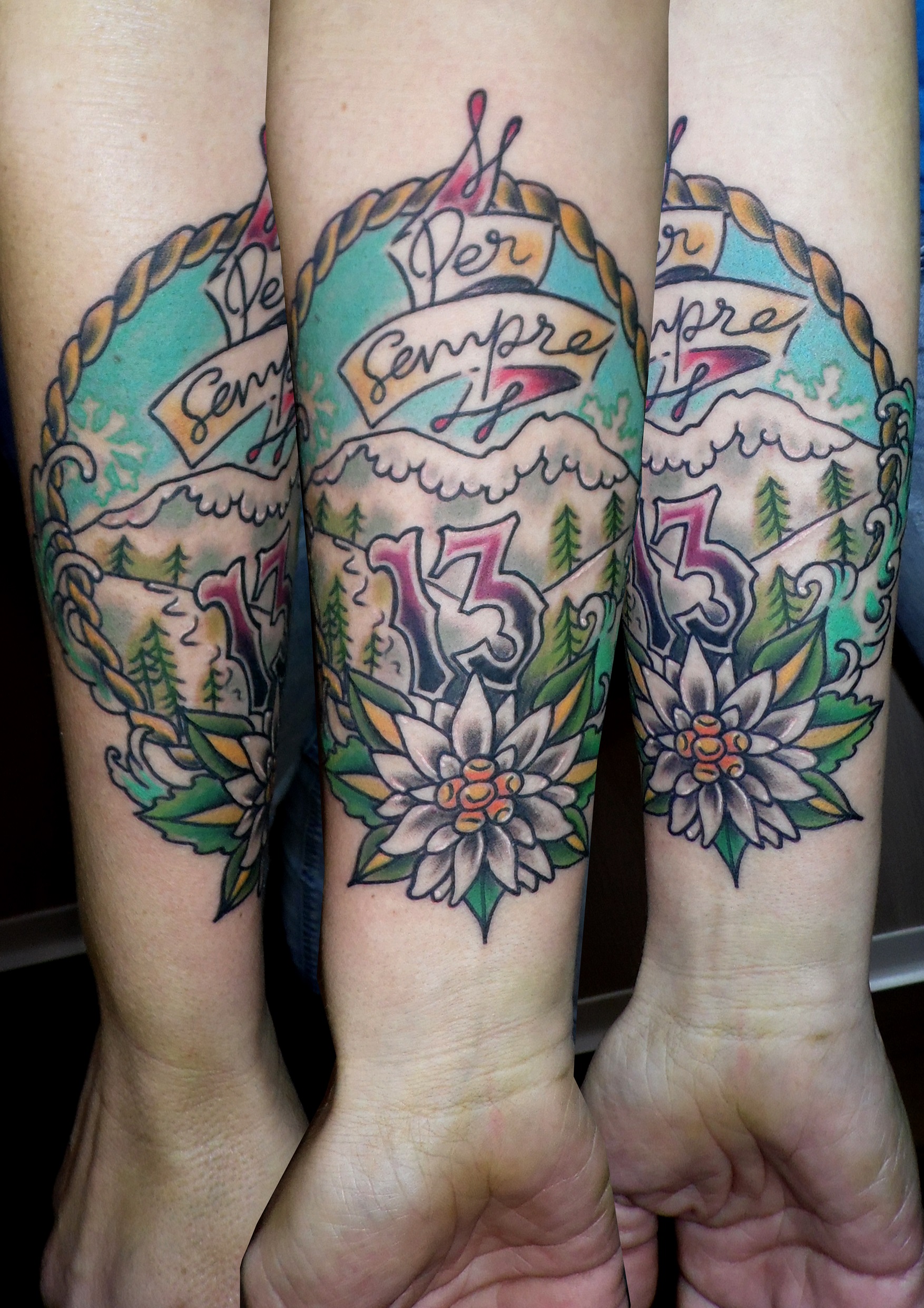tatuaje tattoo old school tradicional montaña flor 13 color antebrazo 13depicas jaca huesca