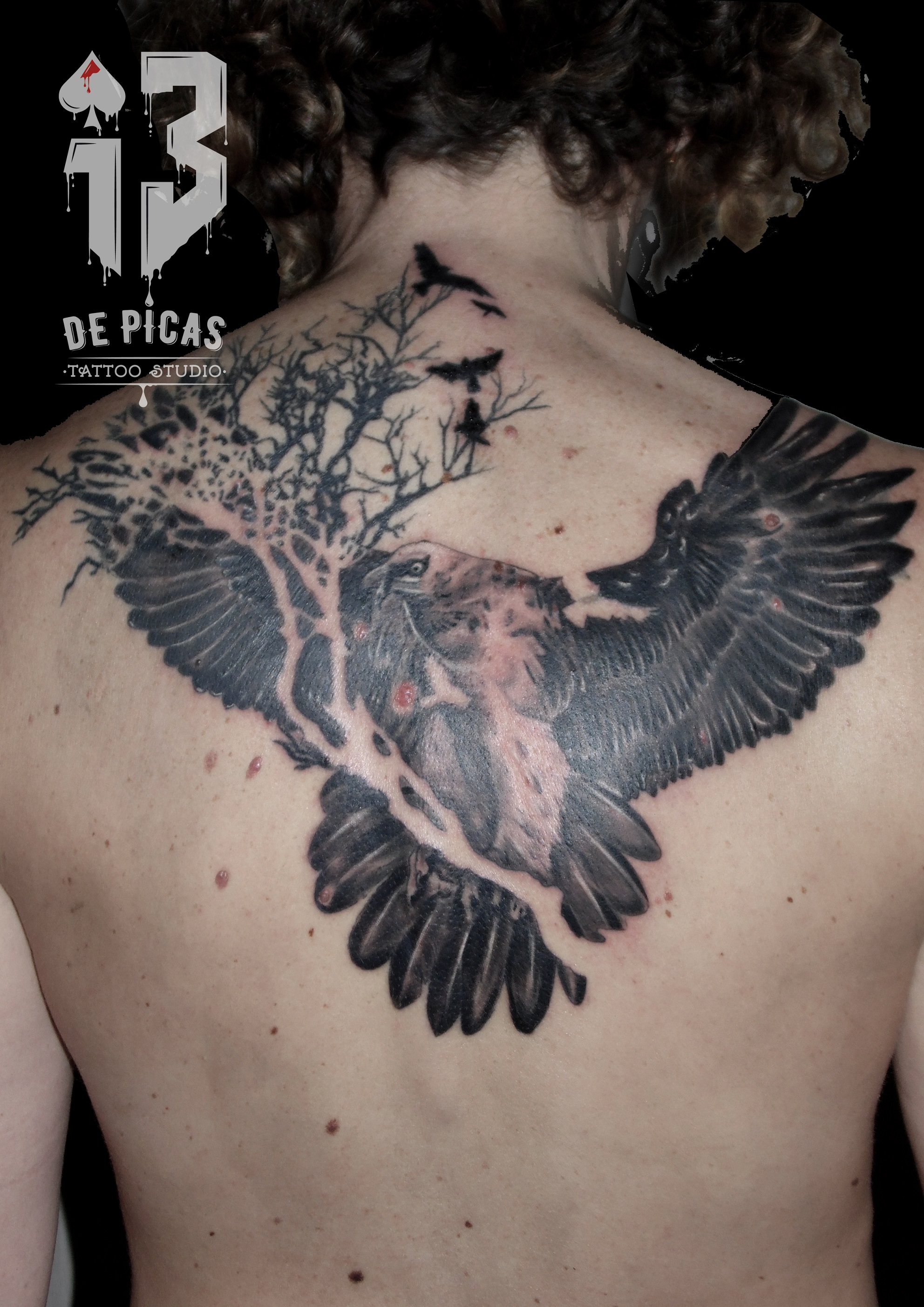 quebrantahuesos cover tatuaje tattoo tapado espalda ave quebrantahuesos pajaros naturaleza 13depicas jaca huesca