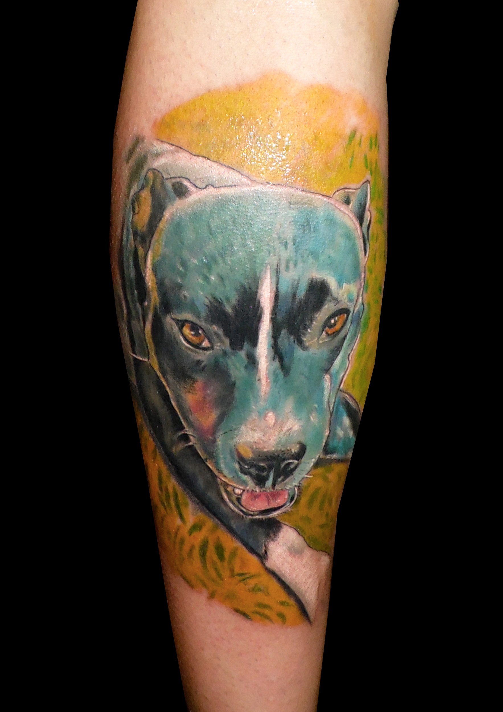 perra retrato tatuaje tattoo color pierna perro animales realismo mascota 13 de picas jaca huesca